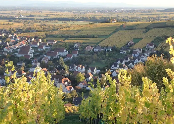 Au Coeur Des Vignes