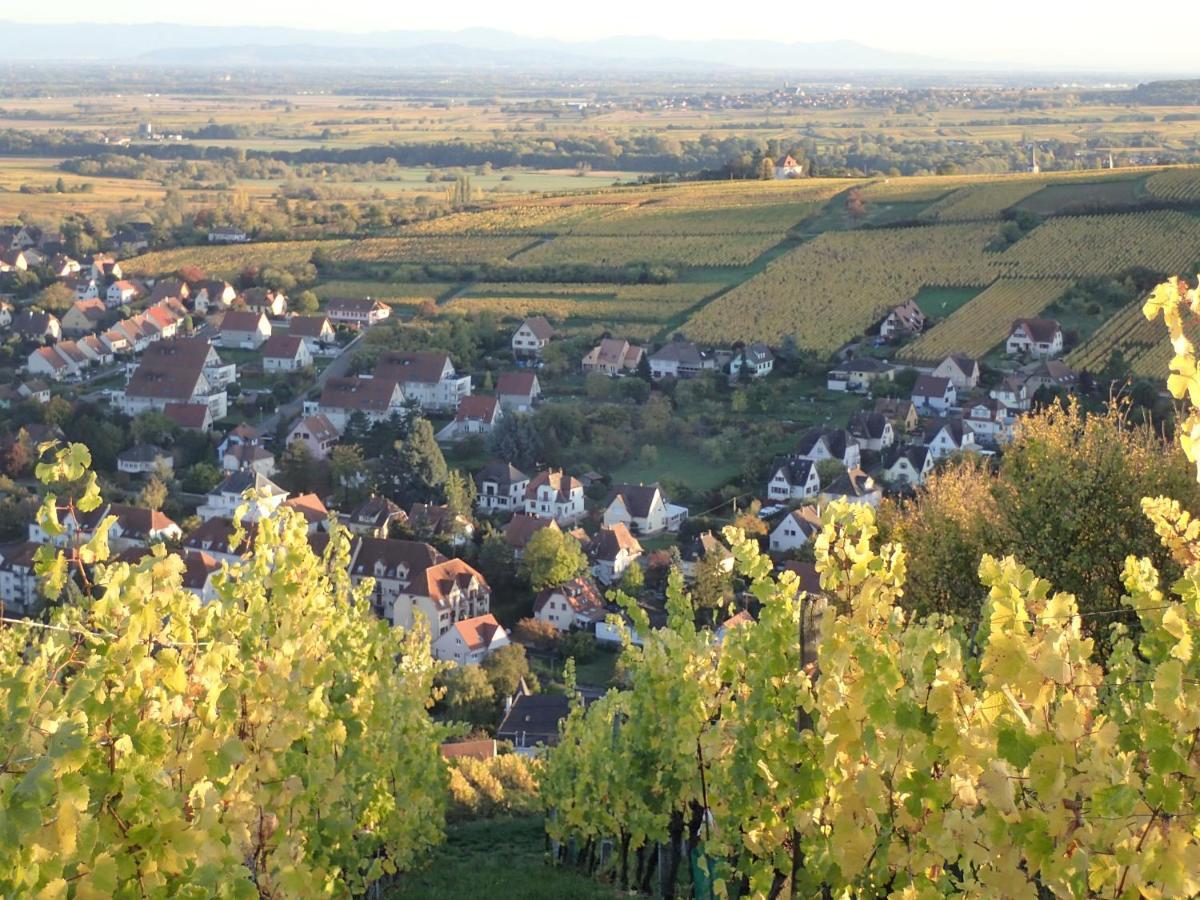 Au Coeur Des Vignes