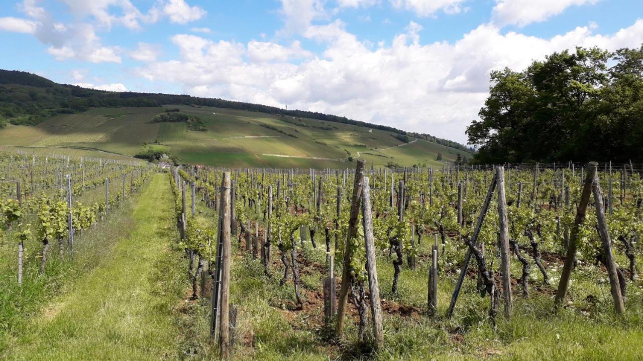 Au Coeur Des Vignes *